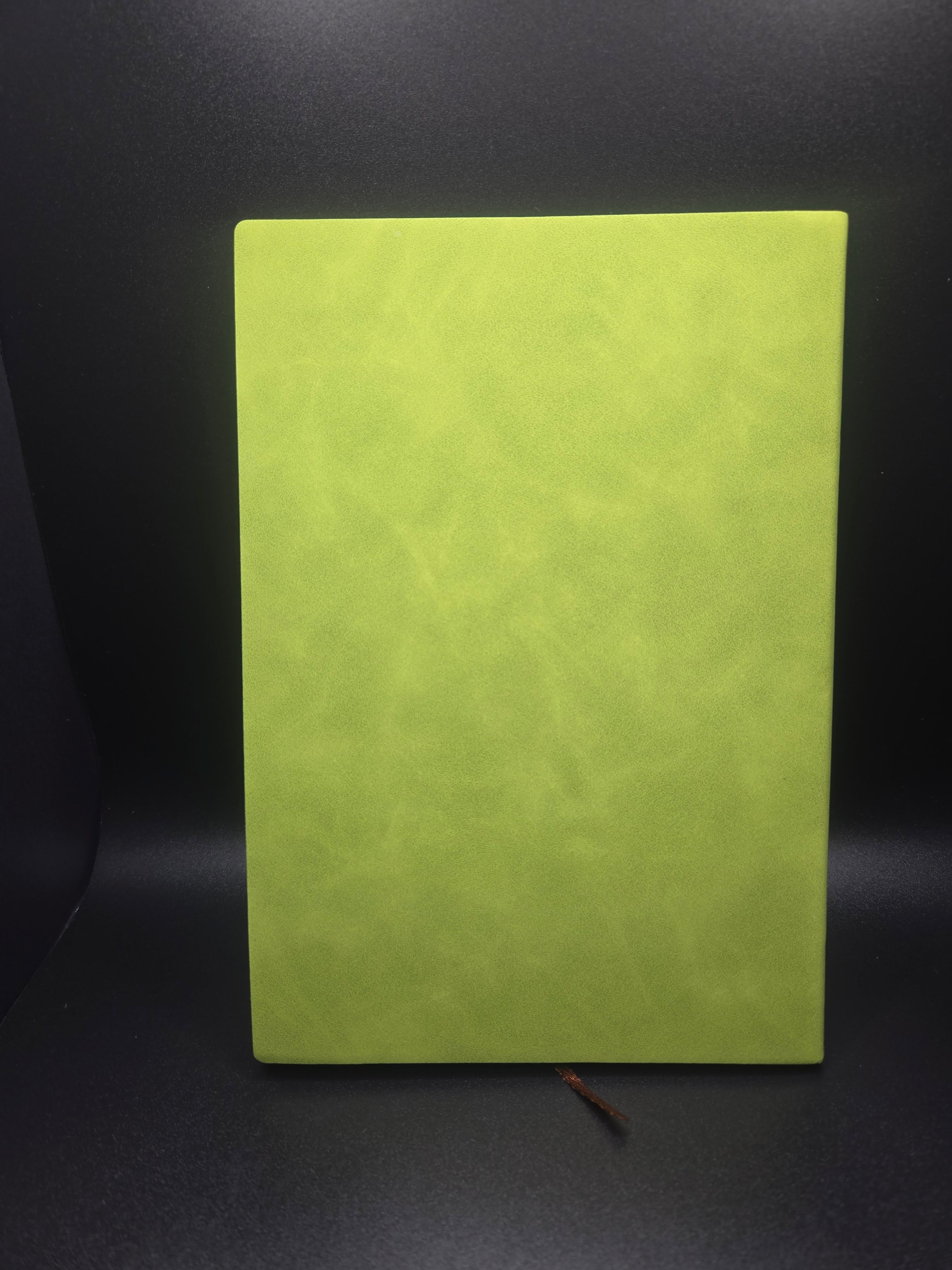 It's Fine, I'm Fine,  Everything is Fine  Journal